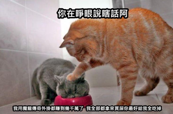 魔龍傳奇外掛詐騙,魔龍傳奇,魔龍傳奇破解,魔龍傳奇訣竅,魔龍傳奇賺錢